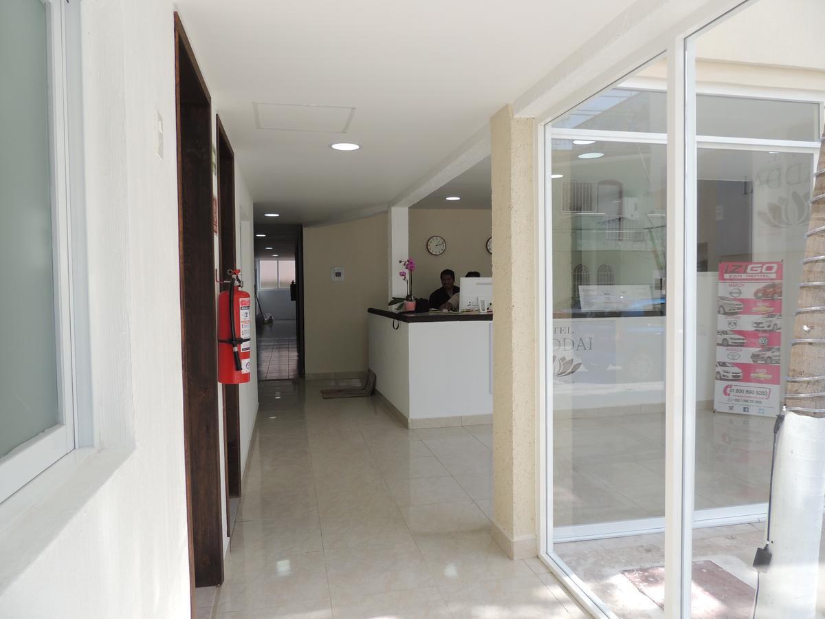 Hotel Shaddai Playa del Carmen Esterno foto