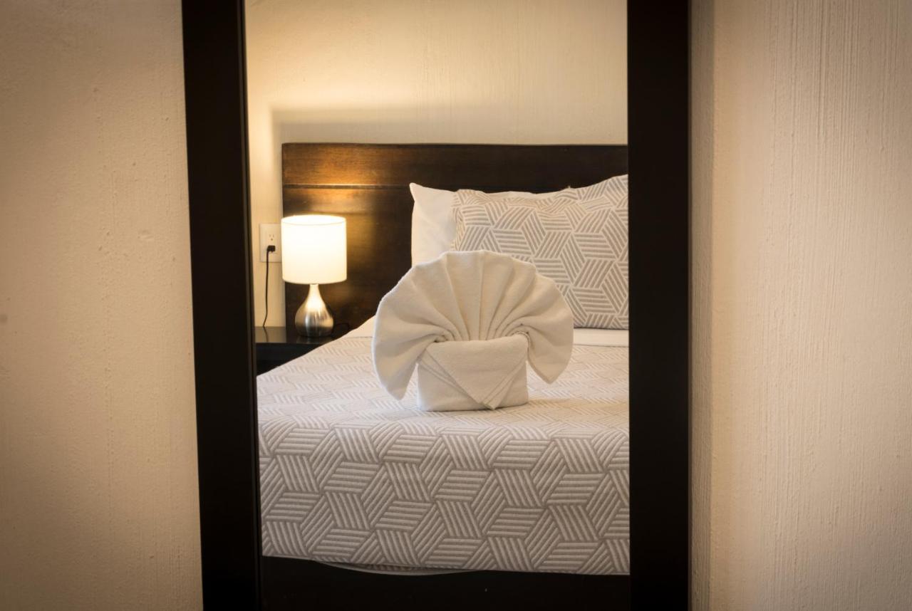 Hotel Shaddai Playa del Carmen Esterno foto